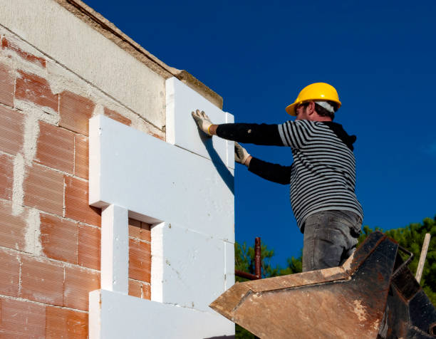 Best Insulation Contractor Near Me  in Fairmont City, IL